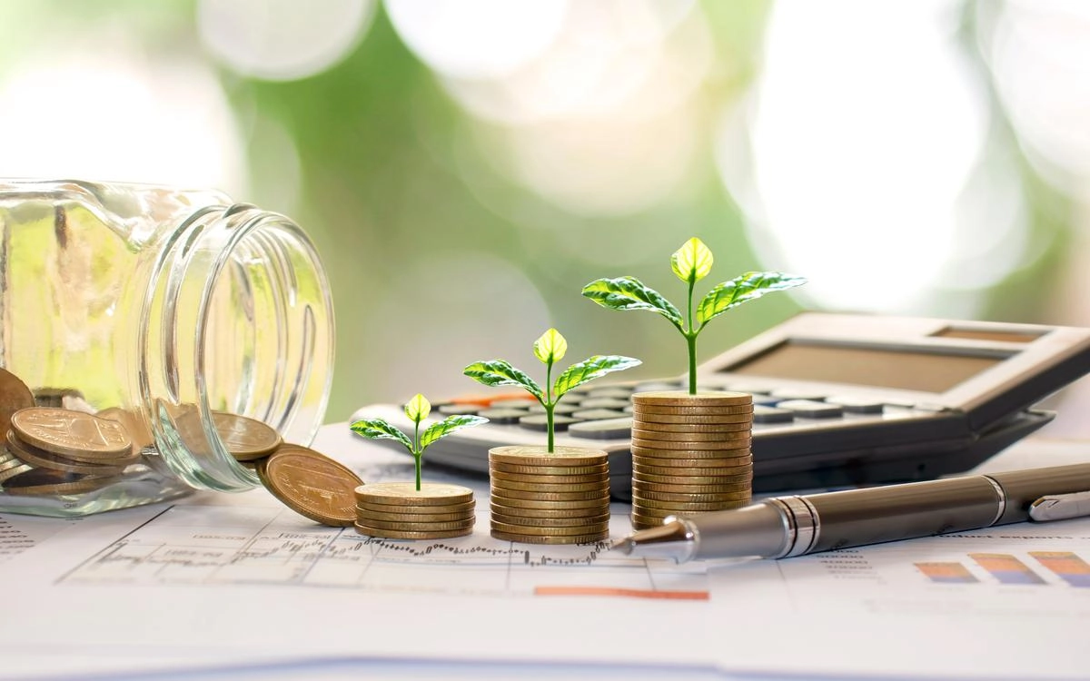 Garbalo запустила сбор денежных средств