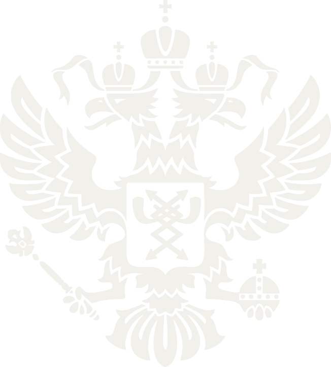 Отечественная продукция компании «Карельский разработчик»