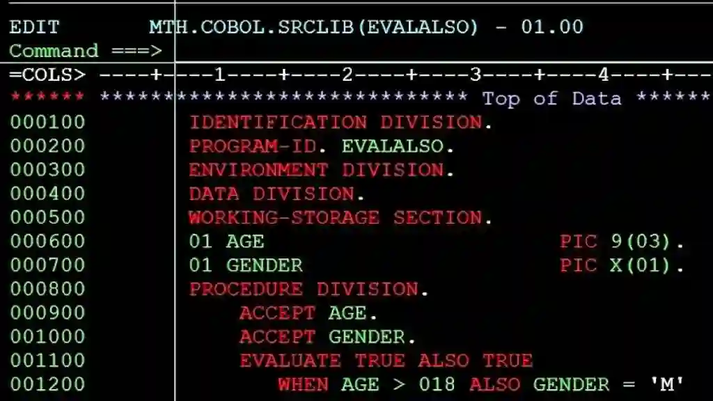 Язык программирования &laquo;COBOL&raquo;